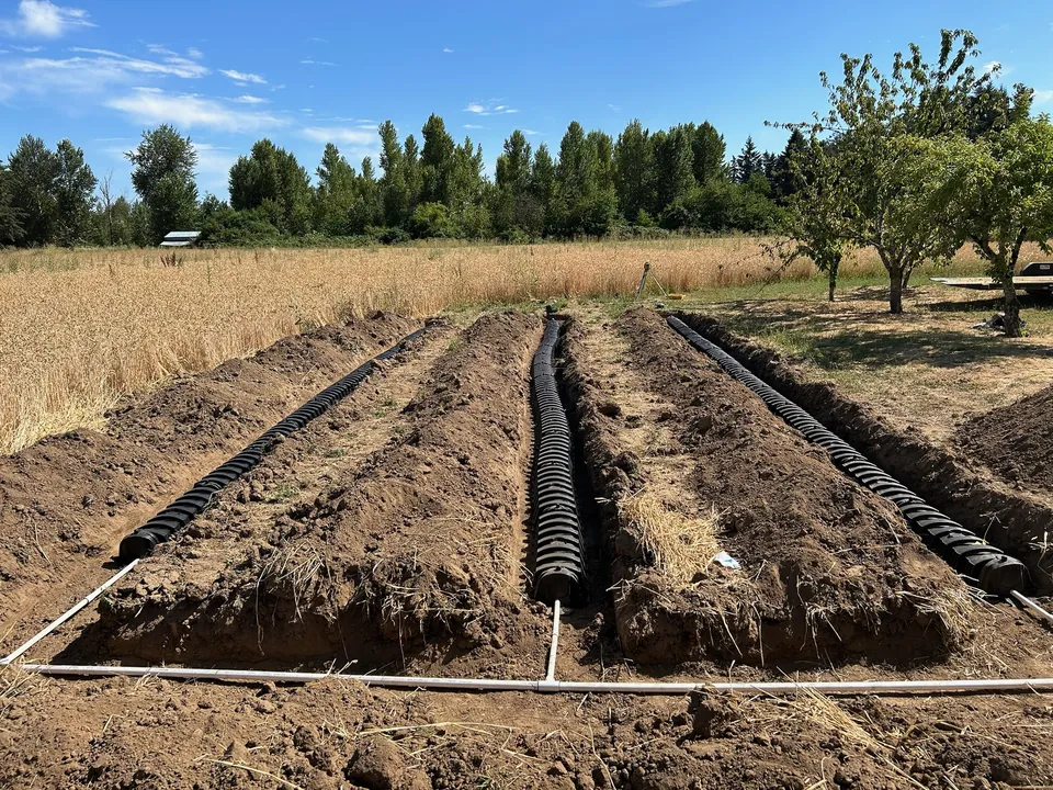 Three rows of drain field chambers connected to a white pipe manifold